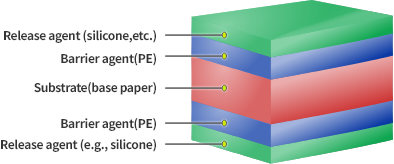 double-sided release liner