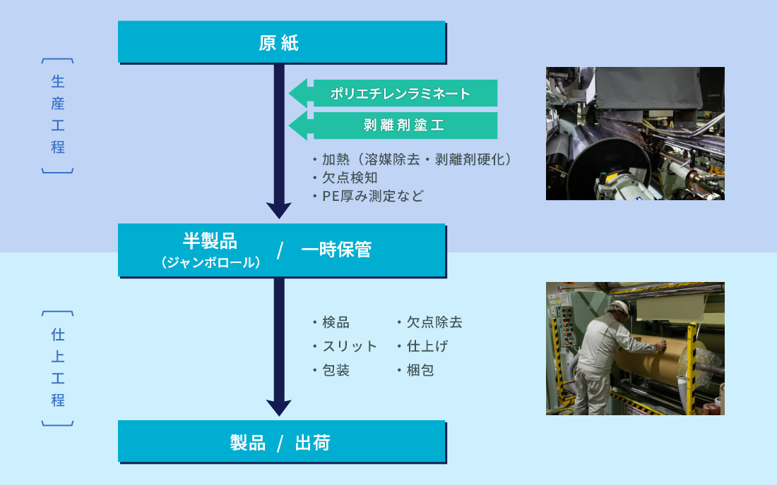剥離紙製造工程